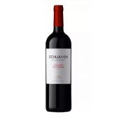 Vino cabernet sauvignon Benjamín x 750 ml