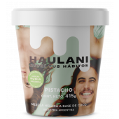 Pote Helado Pistacho Haulani 450 ml