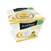Yogur Helado Maracuyá Karinat x 120 gr
